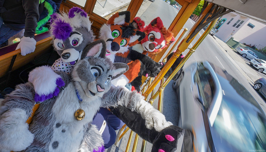 ChatahSpots's tweet photo. This time two years ago... Furry Cable Cars 2 🚍🌁
📸 16-35mm, 24-70mm | 28JUL18 https://t.co/z5TXXmIk2P