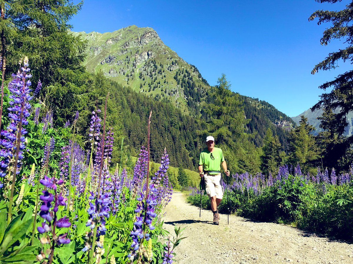 Klostertalfan's tweet photo. 3 Almen wandeling. Prachtige route! #Pitztal #Neubergalm #Tiefentalalm #ArzlerAlm #Oostenrijk https://t.co/VDNRPI2Erc