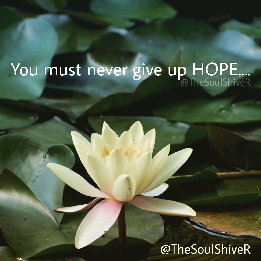 TheSoulShiver's tweet photo. Hope....!!!!
.
.
.
.
#poets #poetry #poet #poetryisnotdead #poetrylovers #poetsociety #poetrycommunity #poetryislife #poetic #poems #quotes #quoteoftheday #quotesaboutlife #lovequotes #writers #words #writing #writingcommunity #wordgasm #love #hope #hopeful #hopemin #NeverGiveUp https://t.co/ARnQjTYgjr
