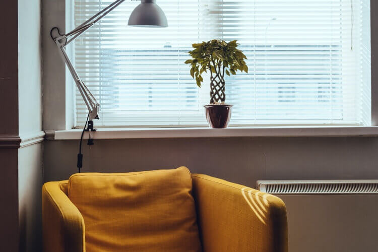 Leafi Home tweet media
