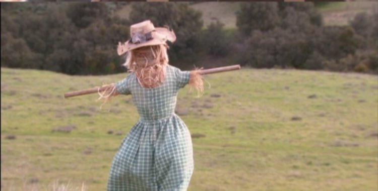 DwightSchrute_'s tweet photo. all I want is someone that looks at me the way Mose looks at his scarecrow girlfriend https://t.co/qbXTKXvtBt