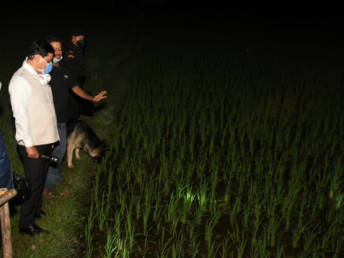 sarbanandsonwal's tweet photo. Through scientific and innovative practices in organic farming &amp; fishery, Pabhoi Greens has been empowering the rural populace in Biswanath district.

Visited the farm and exchanged views on best practices with progressive farmer &amp; proprietor Shri Neelam Dutta. https://t.co/gSK1AzlhWP