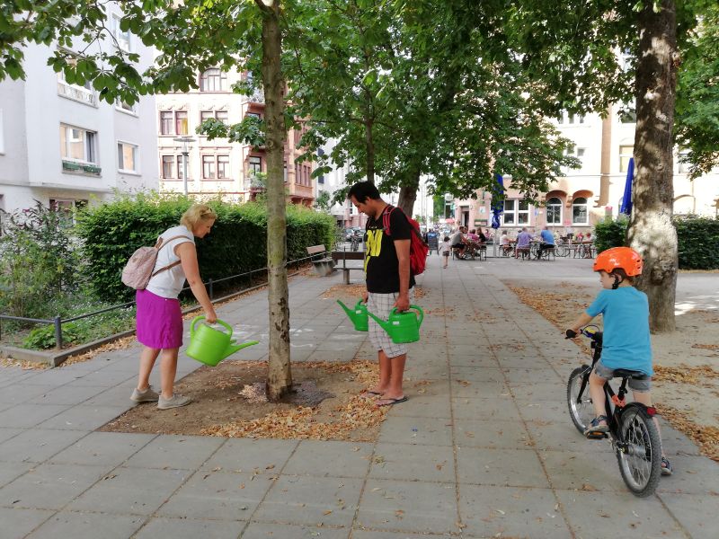 BUNDmainz's tweet photo. Der Sommer ist zu trocken. #Hitzetote - #Dürren - #Waldbrände. Früher eine Ausnahme, in #Zukunft die #Regel. Unsere #Baumgießaktion am letzten Samstag in der #Neustadt in #Mainz. #Nachmachen ist erlaubt! #SavingthisTree @EnKoln https://t.co/aGJWQ4v6x1