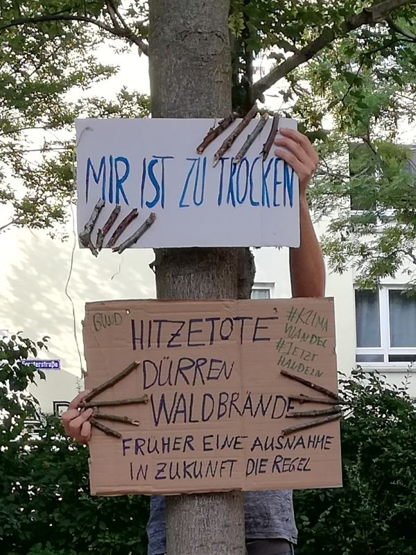 BUNDmainz's tweet photo. Der Sommer ist zu trocken. #Hitzetote - #Dürren - #Waldbrände. Früher eine Ausnahme, in #Zukunft die #Regel. Unsere #Baumgießaktion am letzten Samstag in der #Neustadt in #Mainz. #Nachmachen ist erlaubt! #SavingthisTree @EnKoln https://t.co/aGJWQ4v6x1