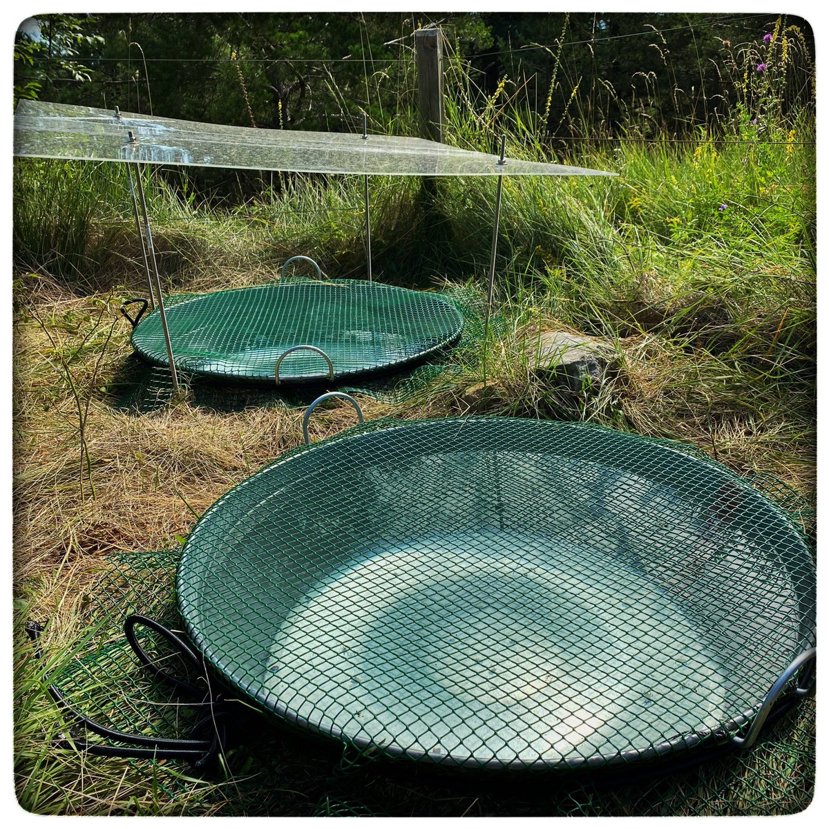 PilarLlorens2's tweet photo. Artificial pools of the Trivers-P project operating at full capacity. Francesc Gallart, @JeromeLatron, @PilarLlorens2, @FEHMlab, @IDAEA_CSIC #waterisotopes #isotopes #temporaryrivers https://t.co/pB85e6HVUh