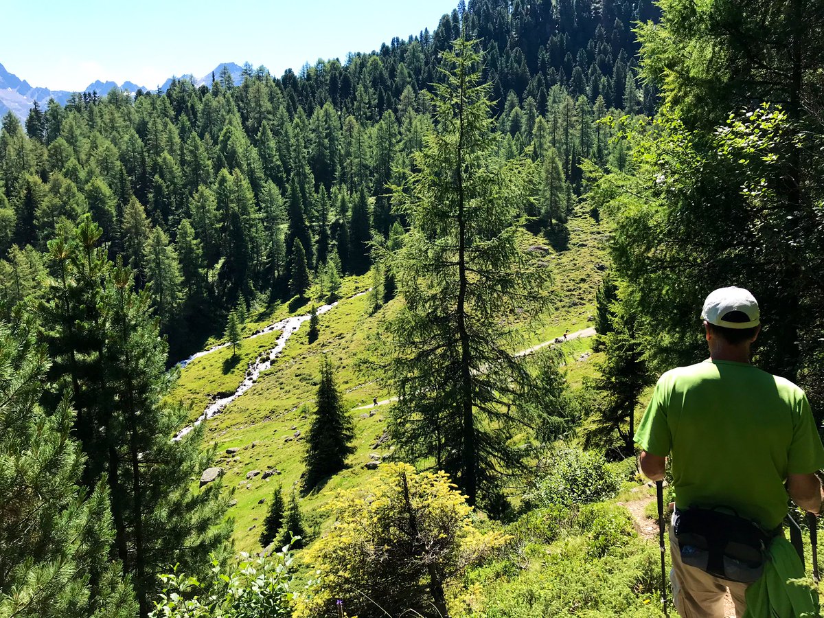 Klostertalfan's tweet photo. Mooie wandeling hoog boven het Pitztal langs 3 Almen. Op terugweg komen we langs steenbokcentrum in St Leonhard #Pitztal https://t.co/C1p58YZEES