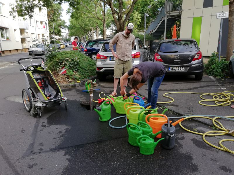 BUNDmainz's tweet photo. Der Sommer ist zu trocken. #Hitzetote - #Dürren - #Waldbrände. Früher eine Ausnahme, in #Zukunft die #Regel. Unsere #Baumgießaktion am letzten Samstag in der #Neustadt in #Mainz. #Nachmachen ist erlaubt! #SavingthisTree @EnKoln https://t.co/aGJWQ4v6x1