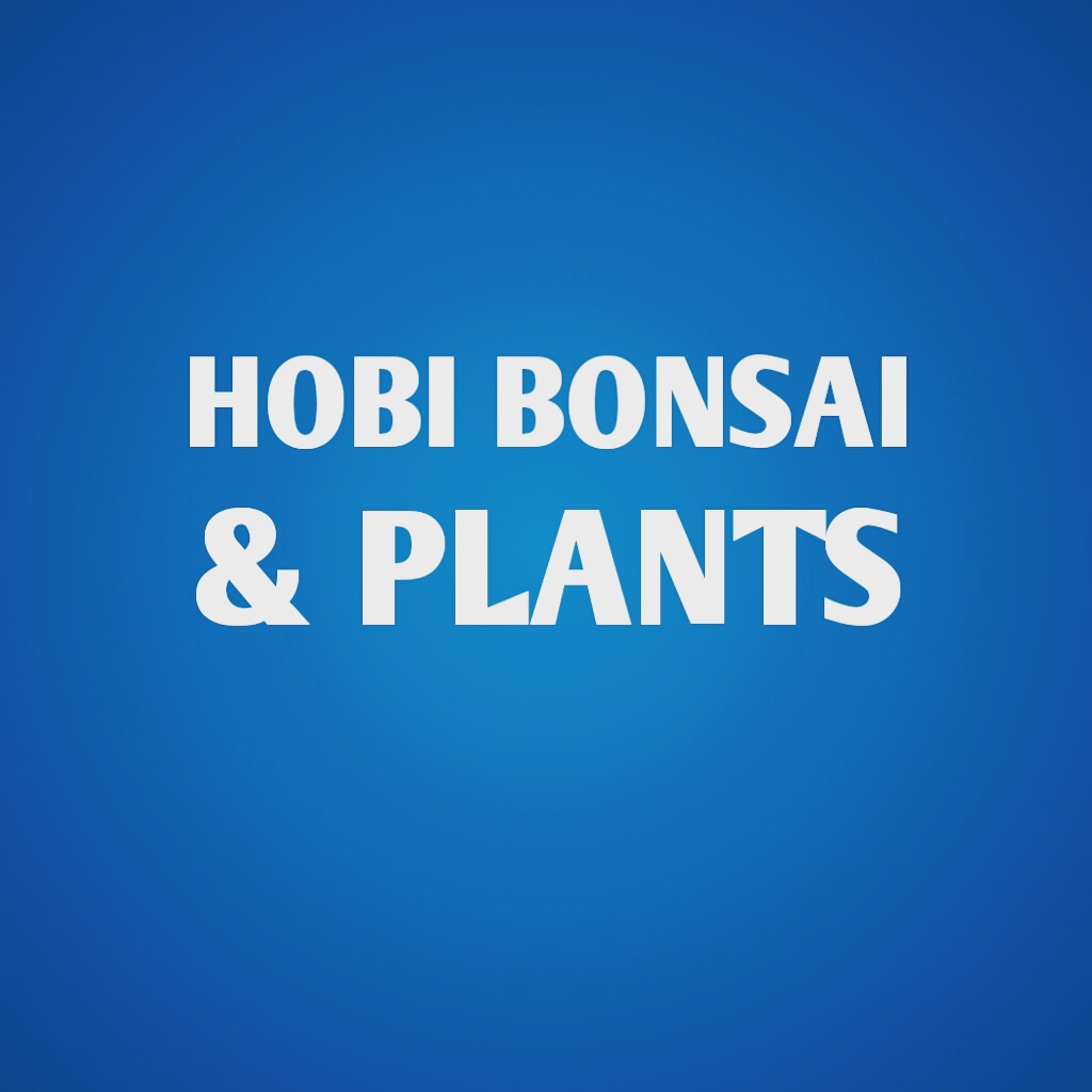 HobiBonsai's tweet photo. Ayo wong kunjungi Facebook saya matur suwun https://t.co/lp4zbHhWfx