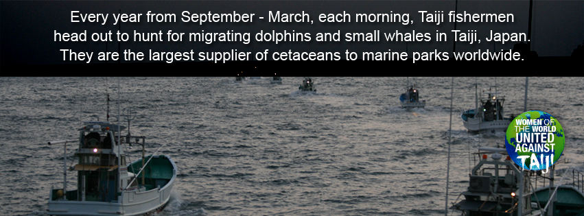 WOWvTaiji's tweet photo. The #Taiji fishermen involved in the drives, hunt, kill and/or capture dolphins from September to March every single year #WOWvTaiji  https://t.co/onXArvYy0K  https://t.co/H9f4ea25Fd