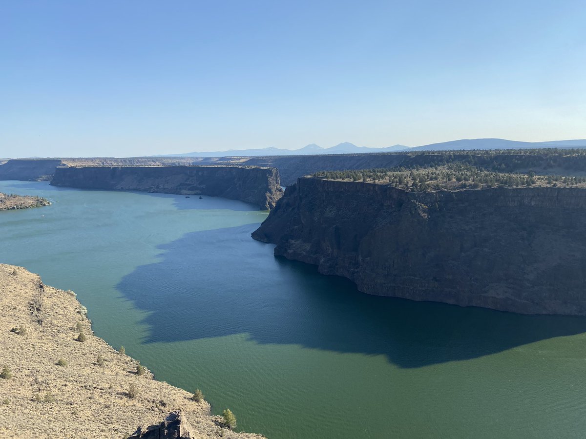 My happy place ☀️