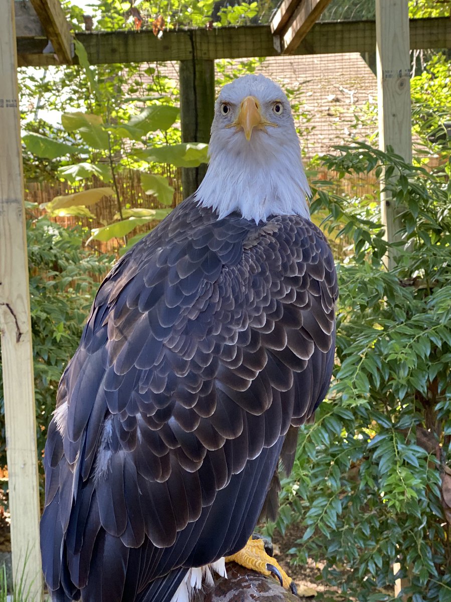 riveron04's tweet photo. It’s called MERICA. https://t.co/zWwrzkLyqN