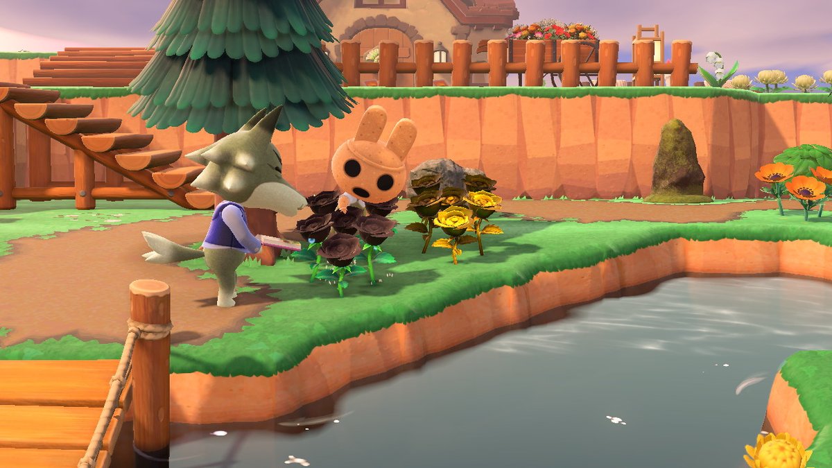 moonnsuncancer's tweet photo. Just a couple of flower enthusiasts #acnhcottagecore #coco #acnhcoco #acnhdobie #AnimalCrossing #ACNH #NintendoSwitch https://t.co/qmVoWmB9YS