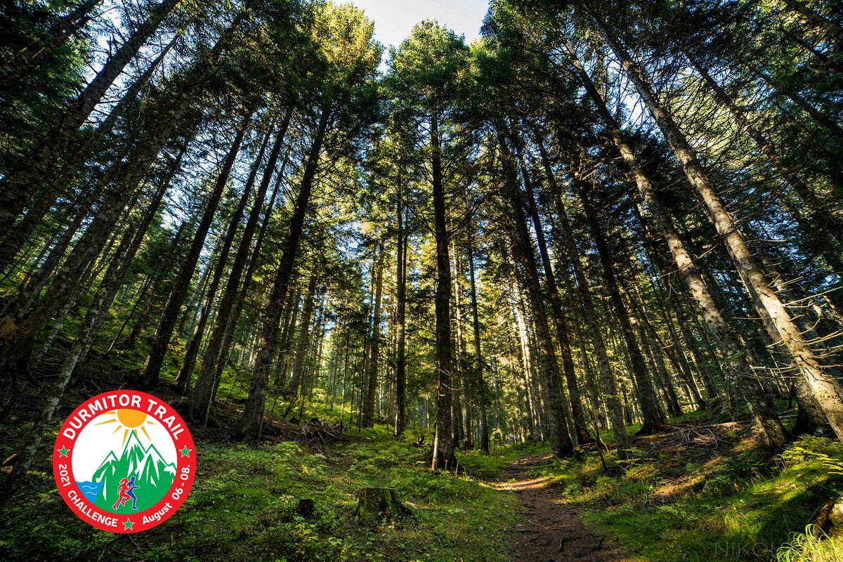 ZMAJadventure's tweet photo. The pearl of Montenegro, beautiful national park Durmitor, will be the home land of Durmitor Trail Challenge 2021 race.
Жемчужина Черногории, прекрасный национальный парк Дурмитор, станет родиной соревнований Durmitor Trail Challenge 2021.
 
 #трейлраннинг  #dtc2021 #trailrunning https://t.co/pZDccyR9iC