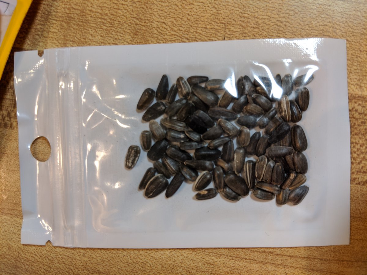ohioagriculture's tweet image. Have you received a packet of seeds in the mail that you didn't order? Does it look similar to the photos here? If so, DO NOT PLANT the seeds and report them here: agri.ohio.gov…/plant-health/resources/seed-reporter