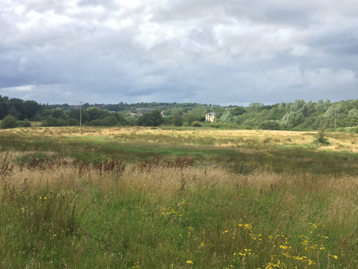 ArchaeoJane's tweet image. Everything crossed for the JR tomorrow 🤞🤞🙏🙏. Carried out the Big Butterfly Count yesterday on the field at Knowls Lane - Ringlets, Small Whites, Green Veined White, Tortoiseshells, Commas. Their home could disappear under 265 executive homes and a new road @SaveValley