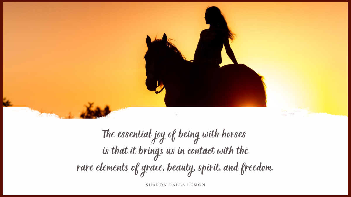 JeffersEquine's tweet photo. True love was born in a stable. ❤️🐴 https://t.co/znzArGywJ9