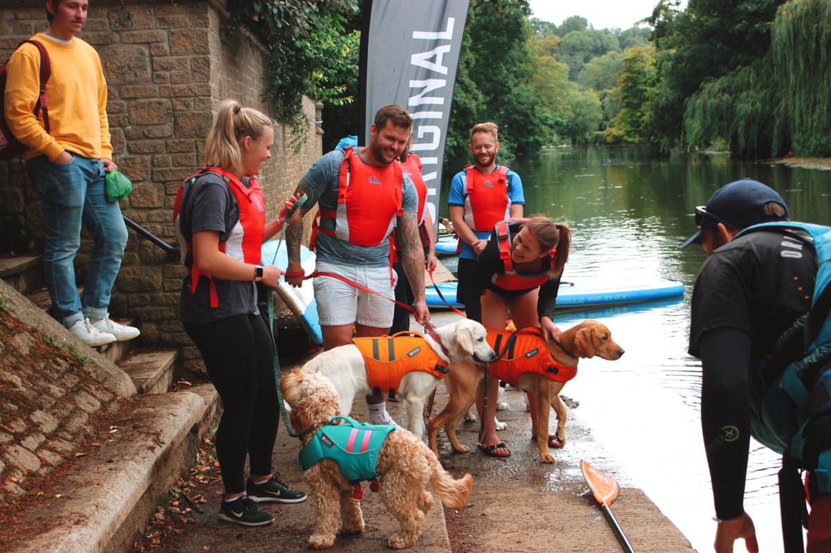 doghousewoofs's tweet photo. Our first paddleboarding with dogs session this summer was a huge success yesterday πββοΈπΎ weβd missed being on the water with you all, so very happy to be back doing what we love! π #pupsonsups https://t.co/dz7suva0Nv