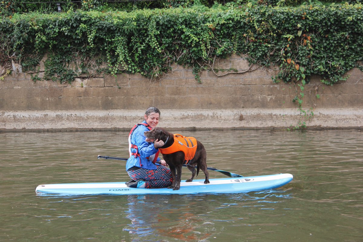 doghousewoofs's tweet photo. Our first paddleboarding with dogs session this summer was a huge success yesterday πββοΈπΎ weβd missed being on the water with you all, so very happy to be back doing what we love! π #pupsonsups https://t.co/dz7suva0Nv
