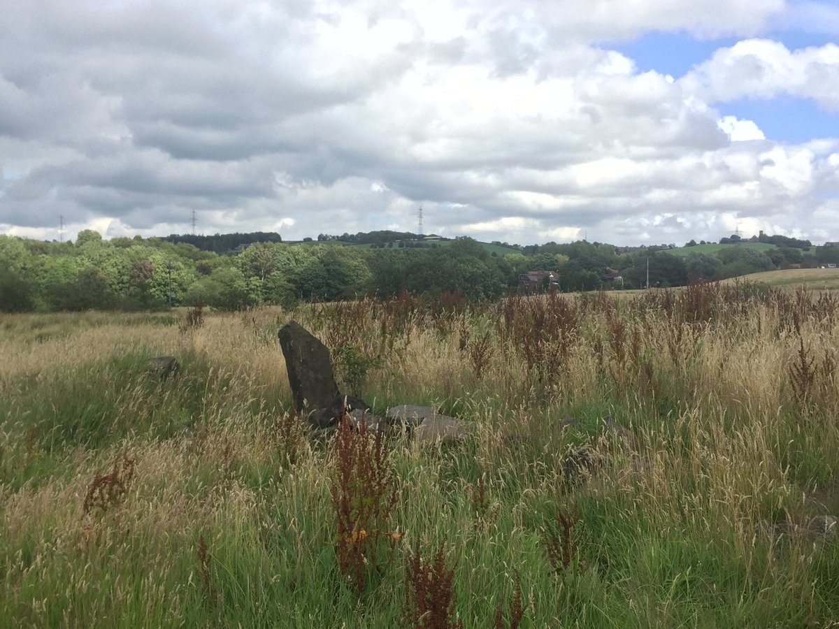 ArchaeoJane's tweet image. Everything crossed for the JR tomorrow 🤞🤞🙏🙏. Carried out the Big Butterfly Count yesterday on the field at Knowls Lane - Ringlets, Small Whites, Green Veined White, Tortoiseshells, Commas. Their home could disappear under 265 executive homes and a new road @SaveValley