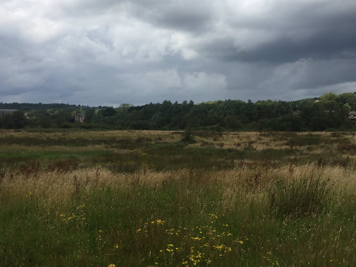 ArchaeoJane's tweet image. Everything crossed for the JR tomorrow 🤞🤞🙏🙏. Carried out the Big Butterfly Count yesterday on the field at Knowls Lane - Ringlets, Small Whites, Green Veined White, Tortoiseshells, Commas. Their home could disappear under 265 executive homes and a new road @SaveValley