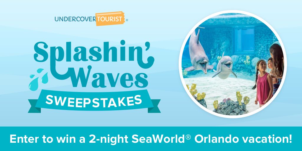 ThemeParkFrog's tweet photo. GIVEAWAY ALERT! ☀️🐬💦 Cool down this summer with a splashin’ 2-night #SeaWorld #Orlando vacation #giveaway for the whole family: https://t.co/ad1MhctCWc https://t.co/25Rl66KDB0