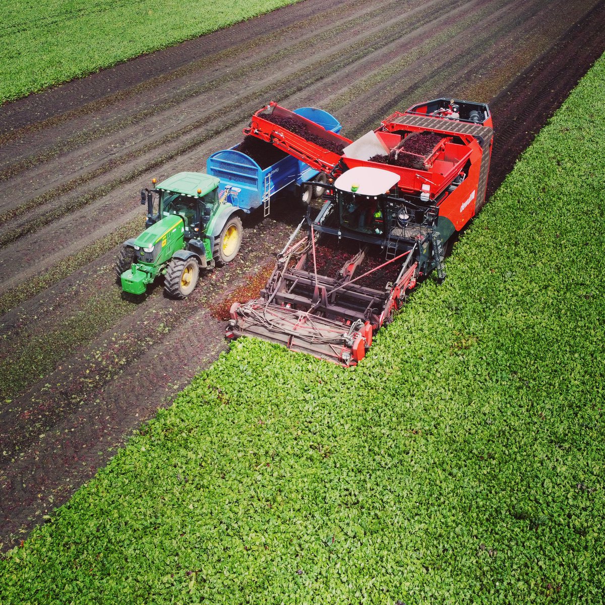 Greg Colebrook tweet media