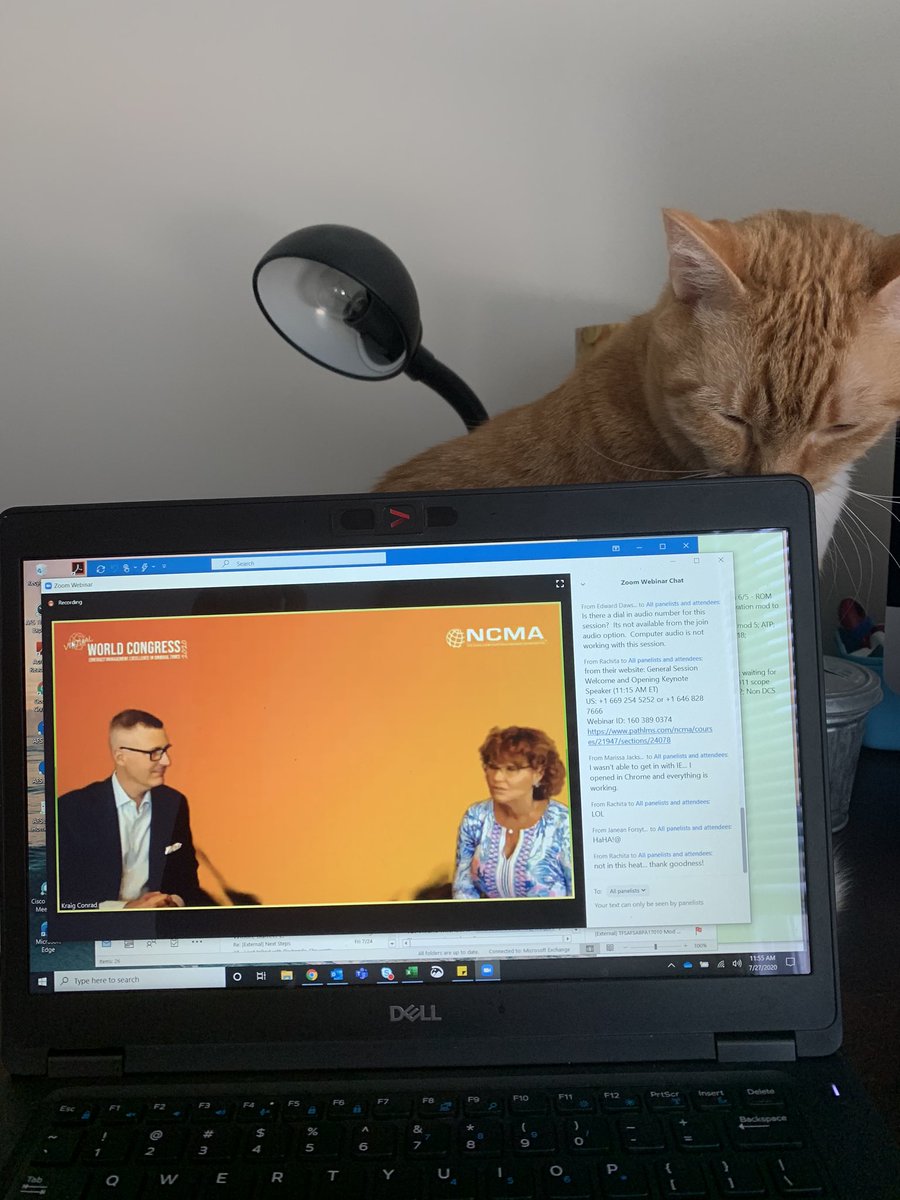 btmun456's tweet photo. Penelope attending #VirtualWC20 https://t.co/IyZmTdMLq7