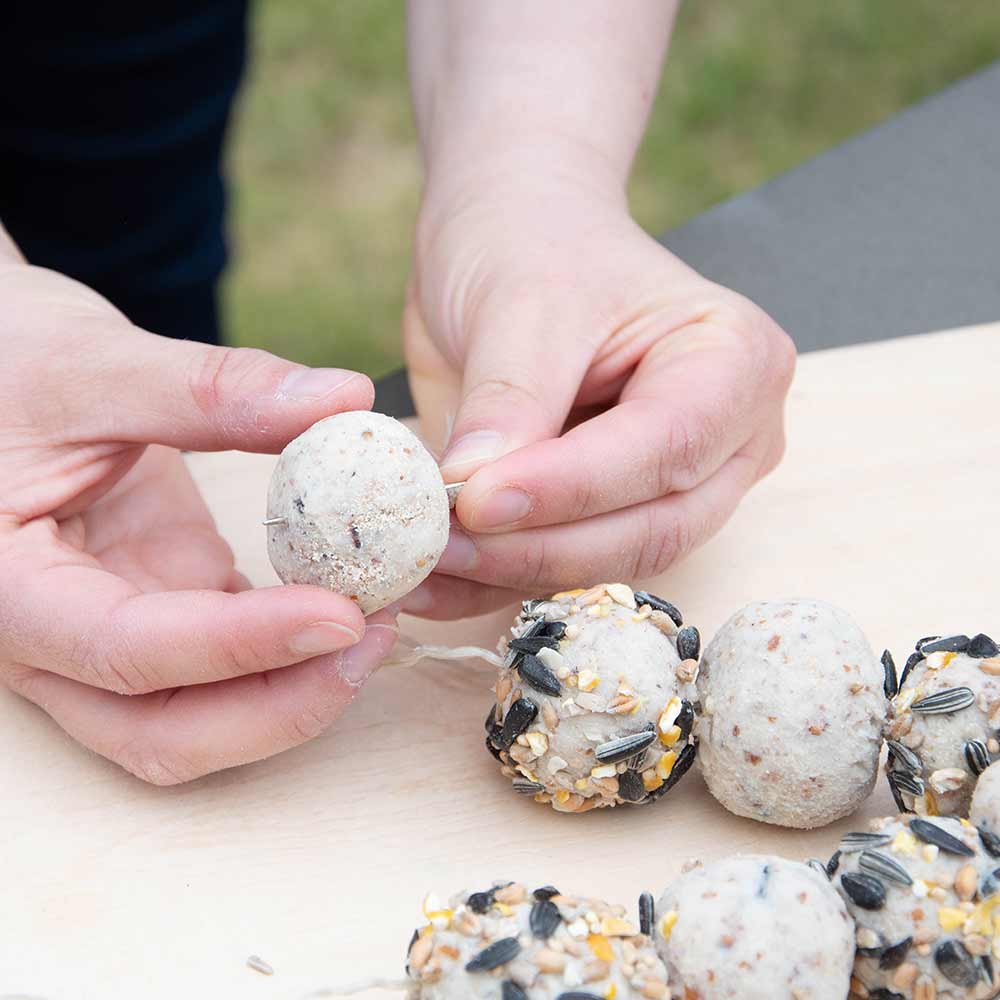 CJWildlife's tweet photo. You've not got long left to make the most of our July offers. 

Check them out here ➡️ https://t.co/uc2YdBljqx

Available while stocks last. 

#Gardenwildlife #athomewithnature #July https://t.co/bWSDxRpDlB