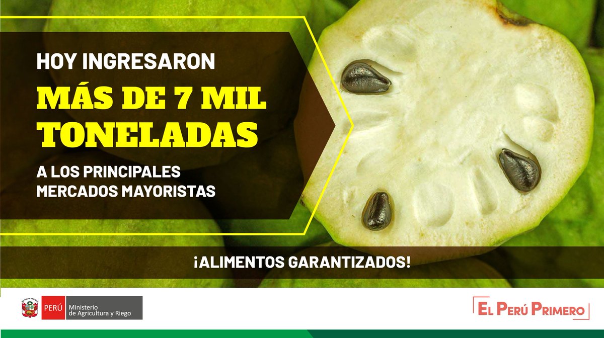midagriperu's tweet photo. Hoy, el flujo de abastecimiento de alimentos a los principales mercados mayoristas superó las 7 mil toneladas, registrándose gran stock de verduras y frutas.🍍🍅
✔️Recuerda siempre aplicar todas las medidas de bioseguridad. https://t.co/bavsbrPbyf