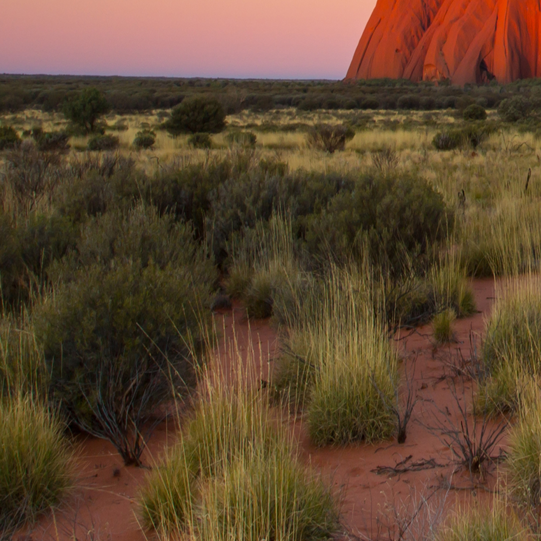 Don't you think God is the coolest artist?  I don't get ever get sick of sunsets and the colors of nature are truly inspiring.  Awesome with a capital A. ❤️#trekforjoy #nature #ayersrock #australia #sunset