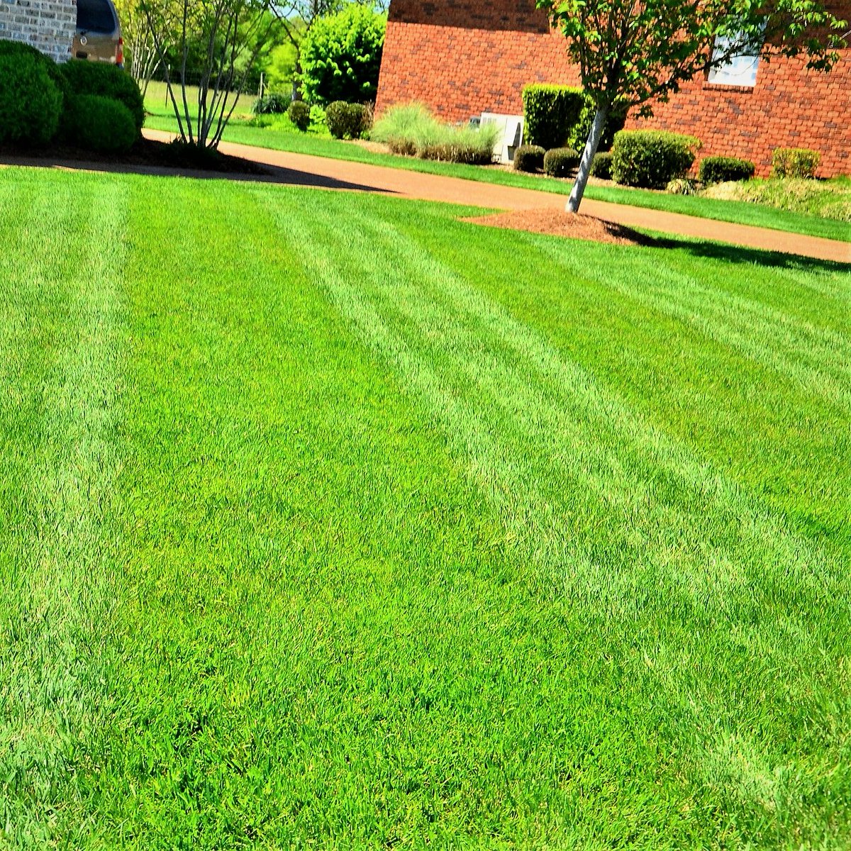 CooperLawnscape's tweet photo. Keep it green and keep it clean.
#MondayMotivation https://t.co/RzTGKLoONN