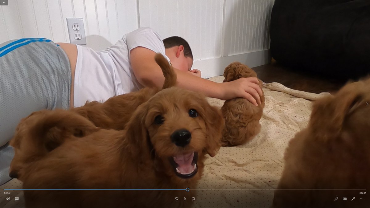 Meet our Friend (@meetourfriend) / Posts / X