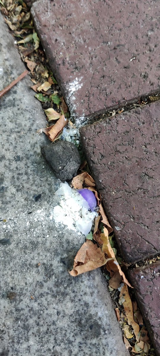 MissScarletTana's tweet photo. Standard photos of munitions impacts. #portlandprotest #pdxprotest #acabspring #defendpdx #portlandgestapo https://t.co/Ckkx1tQS4L