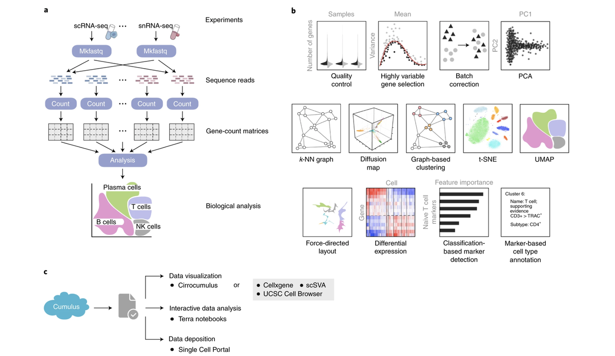 MITBiology's tweet photo. Introducing Cumulus: a cloud-based framework for analyzing large-scale single-cell and single-nucleus RNA sequencing datasets. Read the @naturemethods study by Aviv Regev and others @broadinstitute: https://t.co/o4yXGYng4I https://t.co/v7nHz6KgUb