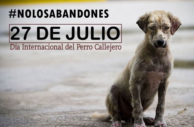 Leila_Mejia's tweet photo. https://t.co/nnVCs56JSG