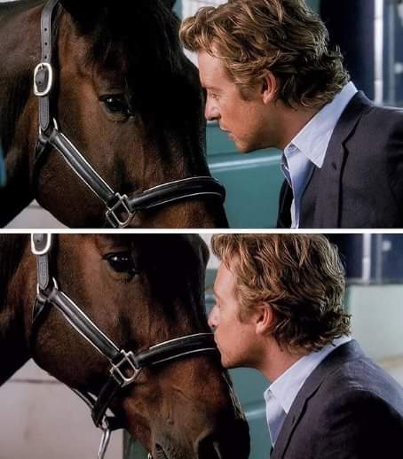 McfloresCruz's tweet photo. @SabineDi63 #SimonBakerWeek
#SimonBakerWeek2020
#SimonBakerCuteistPictures https://t.co/w7Y763qeoy
