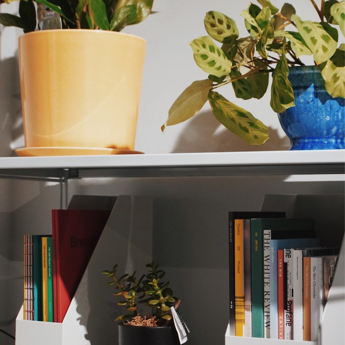 Social media support ⚡ 

If your business is needing a little help surrounding the sticky subject of social media and online marketing - we're on hand to help!

Drop us a line at hello@soello.com for more information 💫