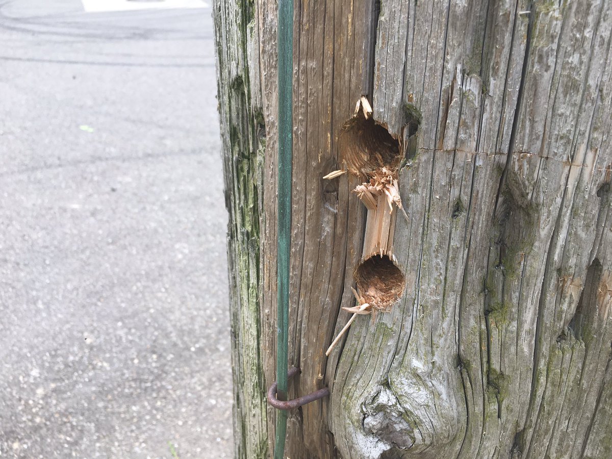 Sam Knef tweet media