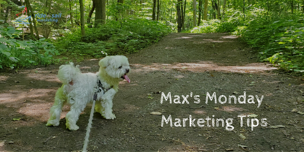 RidetheSail's tweet photo. We officially live in an age were #data guides our decisions. If you’re not evaluating the habits of your customers and using data to support your decisions, you’re missing out.  #marketingtips  #maxsmondaymarketingtips #maxapenmistertalbuddy https://t.co/uPrwBrGpZs