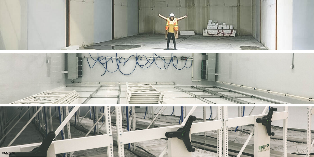 CandreCannabis's tweet photo. In June 2019, the flower rooms got some #PippRacking (3 tiers to optimize space) and in August 2019, we got some plants. I’ll show you some flowering plants soon. Stick around for the next segment #WhatsCandreGrowing? #thelastlook #ThisIsCalyptra #Cannabis #CannabisCanada https://t.co/Odbbh9Qomo