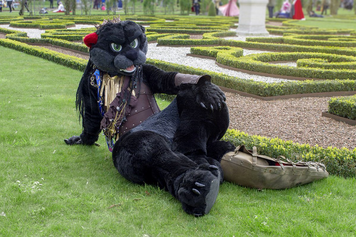 FaolanPanriel's tweet photo. Rate my fursona!

#bandwagon https://t.co/NKmsCOnyN7