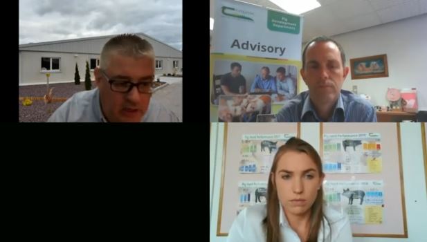 teagasc's tweet photo. If you missed last weeks #LetsTalkPigs webinar you can watch it back here. Hosted by Ciaran Carroll of @TeagascPig, and featuring Peadar Lawlor and Louise Clarke of Teagasc the webinar focused on advances in weaning pig nutrition. Find it here https://t.co/dbBeLvD6sX https://t.co/jxa83AxsKr
