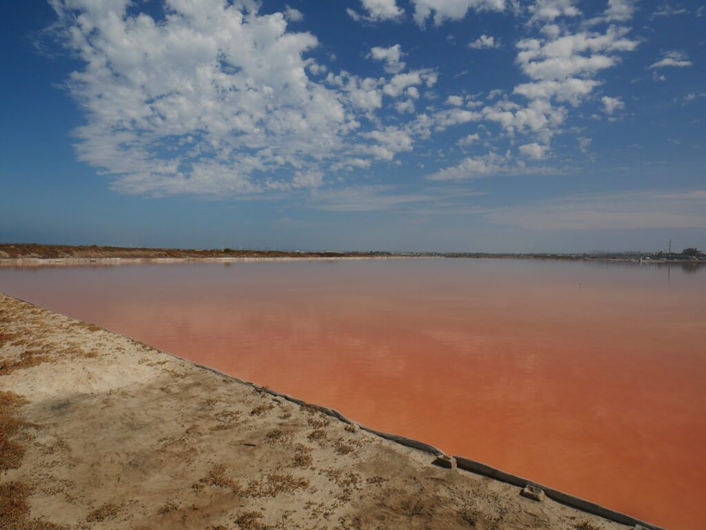 Space Oceans OAST tweet media