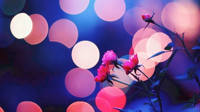 Tae_VVante's tweet photo. ππΊβ¨β€
#KimTaehyung #V #VANTE #Singularity #Scenery #SweetNight #FindYourPurple #WE_PURPLE_V #BTS #νν #λ°©νμλ
λ¨ #VBtsM @BTS_twt
πΈ @V_ibe_1230 β¨ https://t.co/pJvvqQO0jc