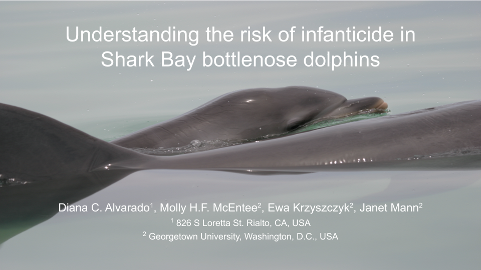 Next up our 2019 field assistant, Diana Alvarado, will present her work on the risk of infanticide (3/4)

animalbehaviorsociety.org/virtual/index.…