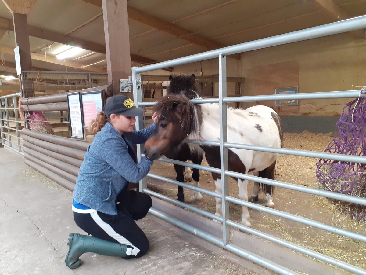 EmployMeWorcs's tweet photo. Kim is loving working @AttwellFarmPark so much she has offered to do an extra day this week! Kim is amazing and working independently and extremely well #proud #EndOfInternship #outcome All the staff are supportive, friendly and welcoming at Attwell 😁👍 https://t.co/56TaDfz5Dk