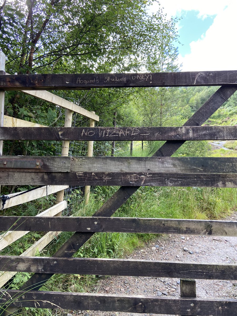 { i spent my birthday in the most magical place 🥺 ⚡️