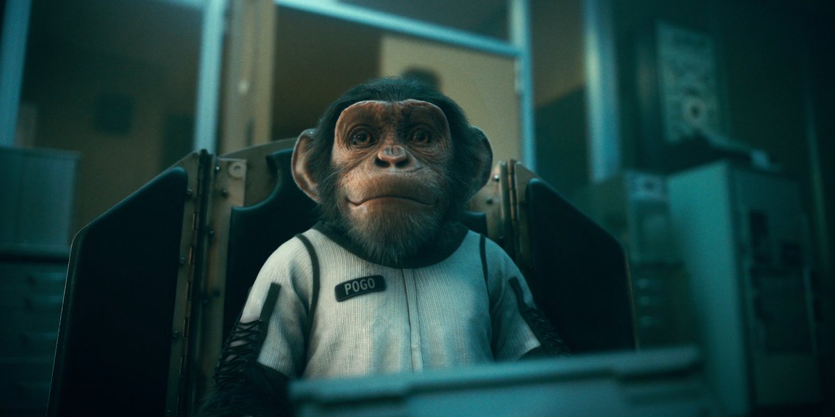 NetflixFR's tweet photo. J-4. ☂ https://t.co/QDdqG17oso