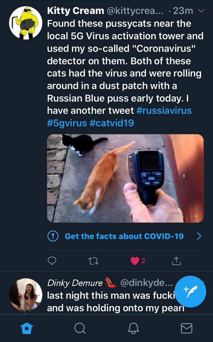 kittycreams0's tweet photo. Outraged to have just been sent this by my Hubby, proof that the Marxist Communist Lefists are trying to censor me! I cannot see the notes about "the facts about 5g virus" but my followers can! They kept quiet about the Russia Conspiracy though #twittersupport #canthidetherussia https://t.co/teCD3qJ6kb