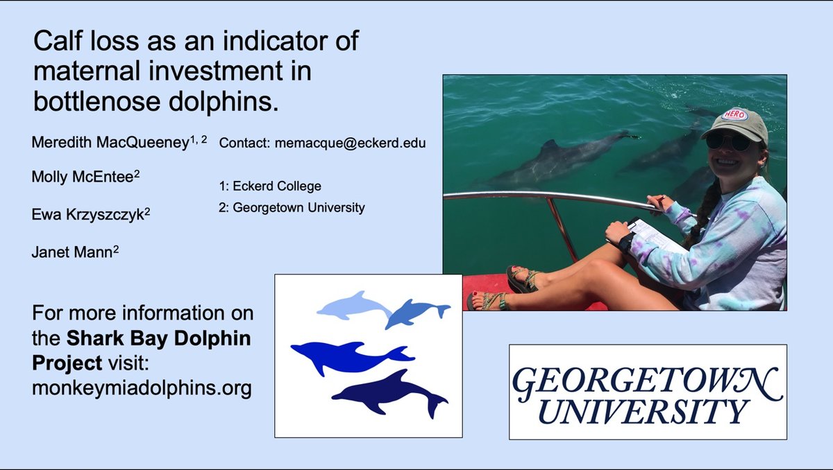 Lastly field assistant <a href="/Meredith__Mac/">Meredith MacQueeney</a> will also be presenting her work on maternal investment. Can't wait to "see" you all there! (4/4)

animalbehaviorsociety.org/virtual/index.…